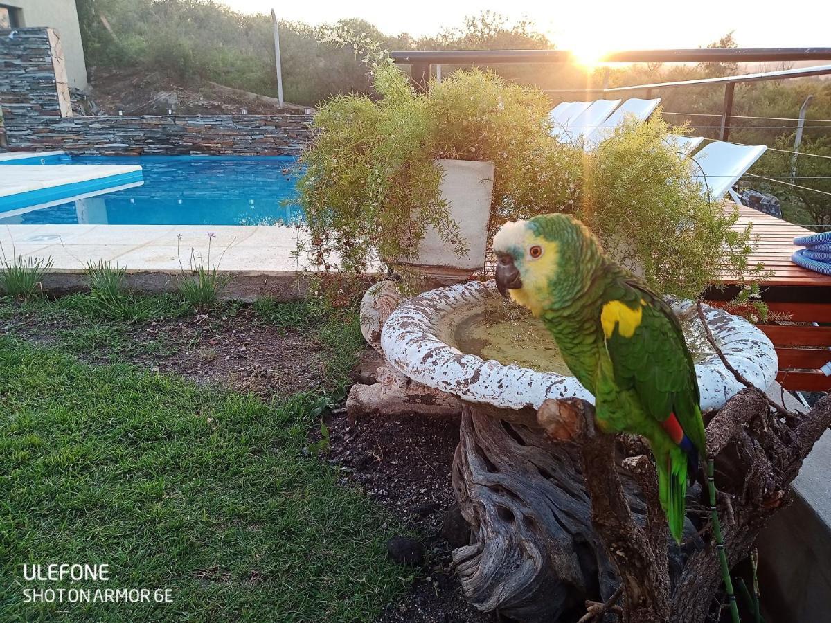 Apartamento MIracampo San Antonio de Arredondo Exterior foto